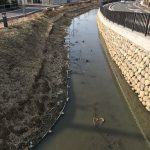 近所の葛西用水を撮影してみた