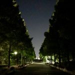 今週末も忙しくなりそうなので、土曜日分を今夜走ってきました。
