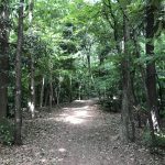 ランニング再開4日目週末2回目 脚まわりに張りが出てきた