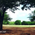 6週間の週末ランまとめ ブランク4ヶ月からの復帰の結果