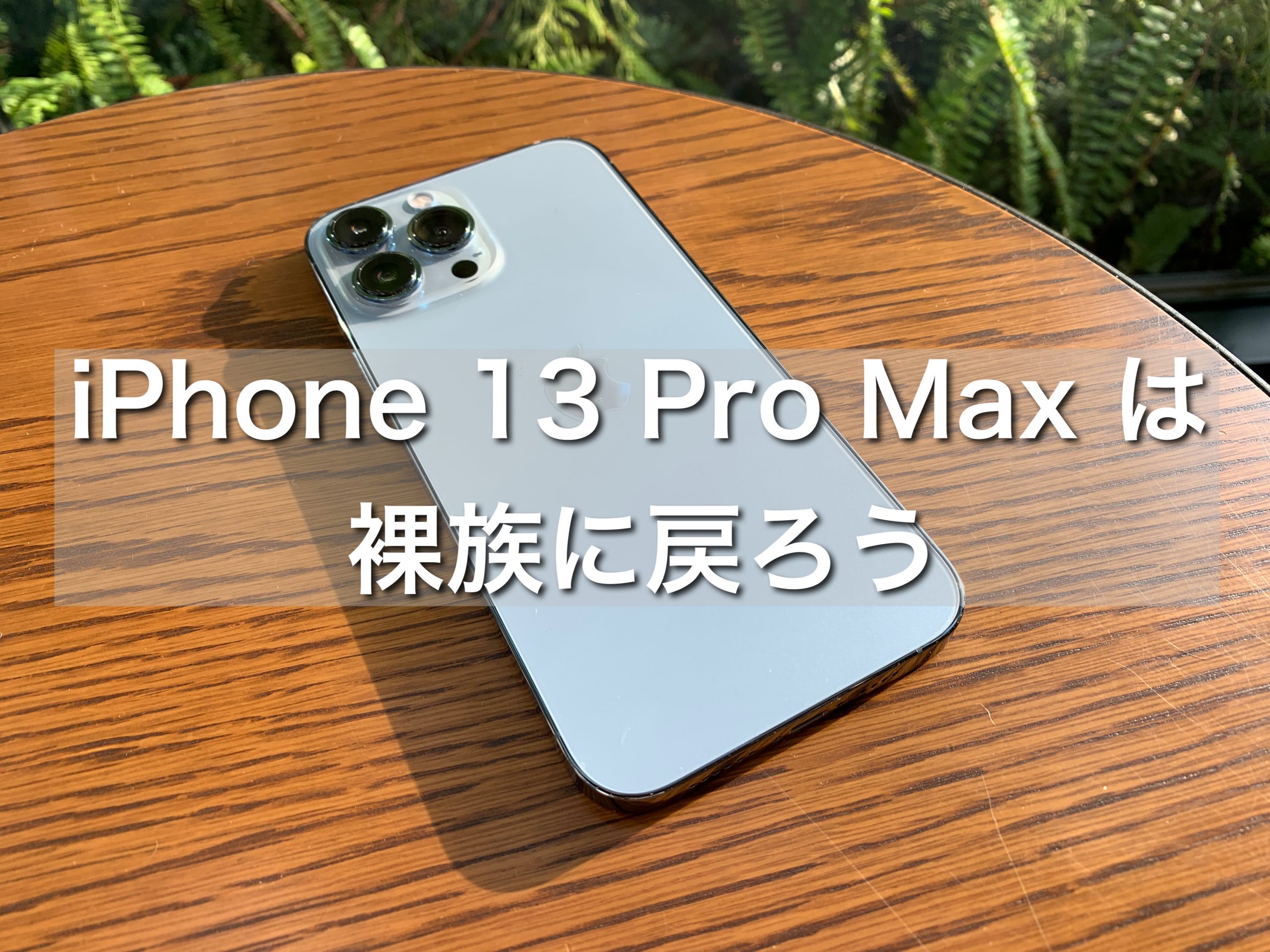 Iphone 13 Pro Max では裸族に戻ろう Hokari S Eye Sense Design Code